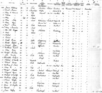 1897 Mary Gorman Passenger List