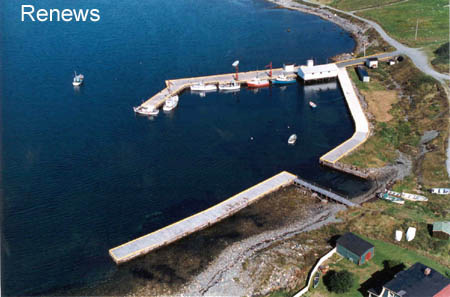 renews harbour