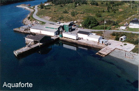 AQUAFORTE HARBOUR